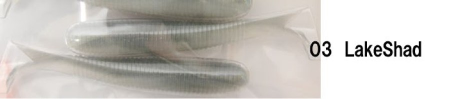lake shad
